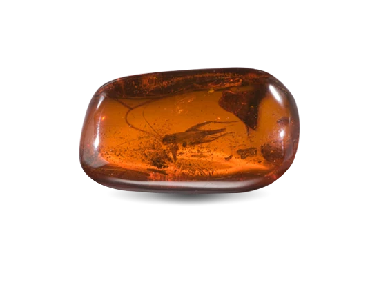 Amber gemstone