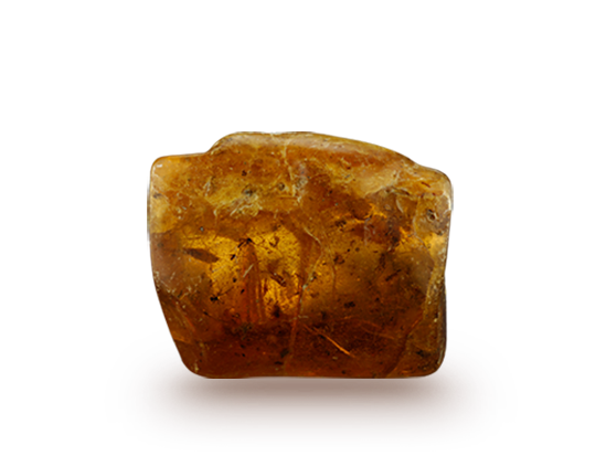 Rough Amber specimen